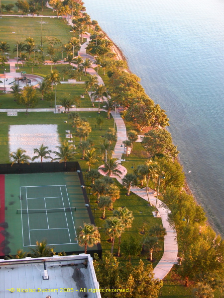 Miami Day#1 - 7