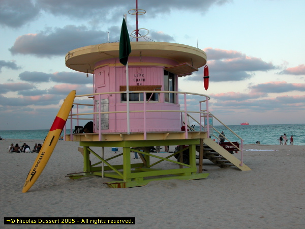 Miami Day#1 - 43