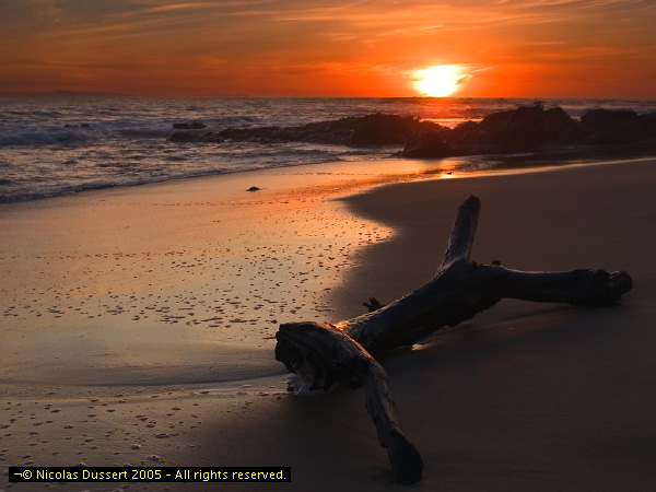 Sunrise on the beach