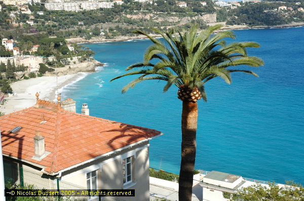 Porto Fino - 40
